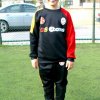Lowen Geboren in 2003-2004-9